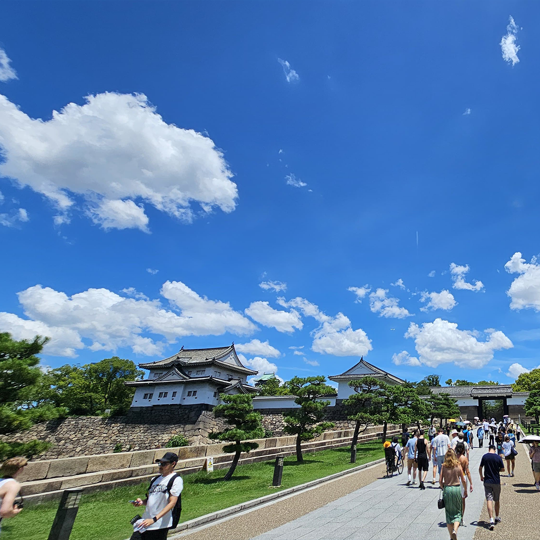 Osaka: Castle History Walking Tour / Castle Tower Admission