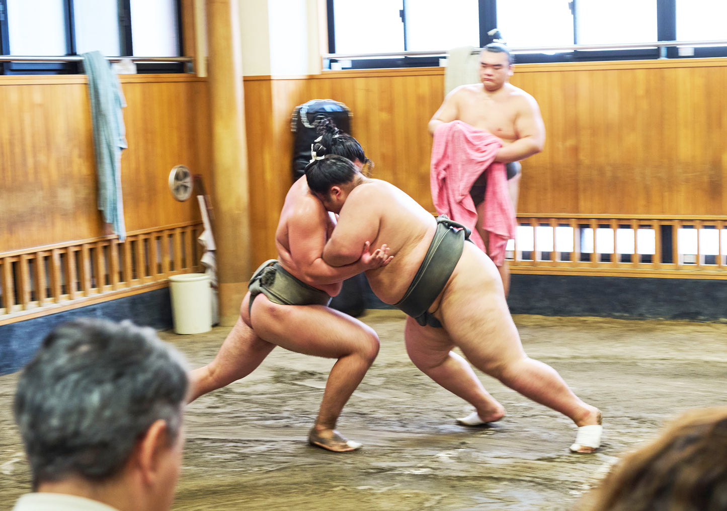 Tokyo: Sumo Morning Practice Viewing Tour at a Real Stable
