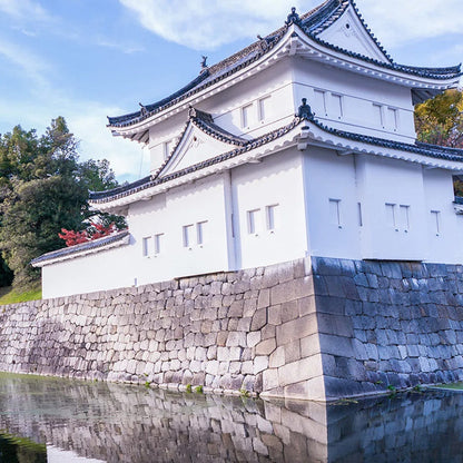 Kyoto: Nijo Castle UNESCO Site Guided Walking Tour