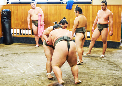 Tokyo: Sumo Morning Practice Viewing Tour at a Real Stable