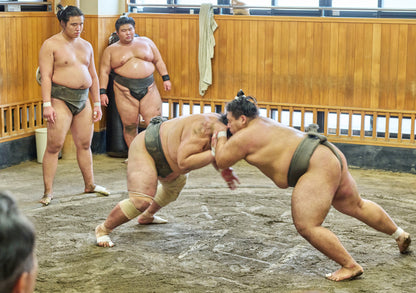 Tokyo: Sumo Morning Practice Viewing Tour at a Real Stable
