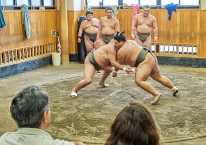 Tokyo: Sumo Morning Practice Viewing Tour at a Real Stable