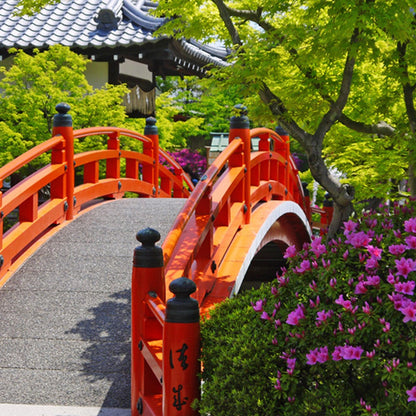 Kyoto: Nijo Castle UNESCO Site Guided Walking Tour