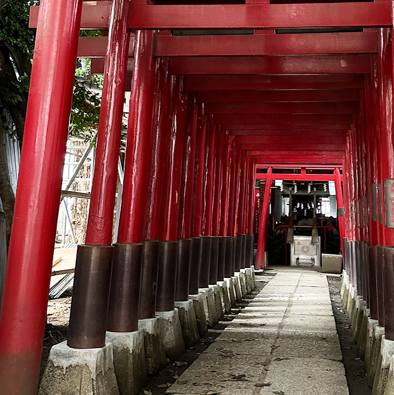 Tokyo-Shinjuku Night Walking Tour & Secret Backstreets