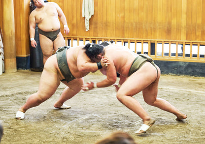 Tokyo: Sumo Morning Practice Viewing Tour at a Real Stable