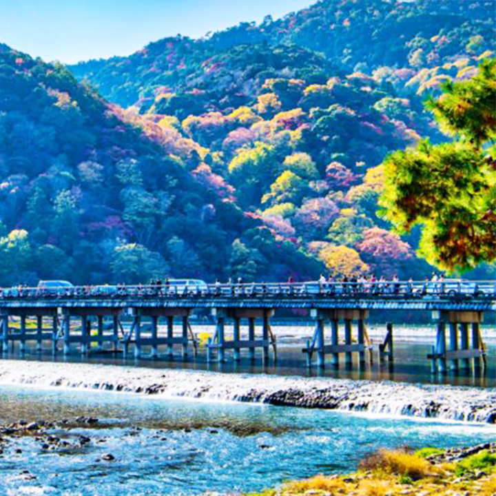 Kyoto: UNESCO World Heritage Arashiyama Walking Tour