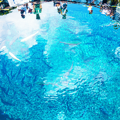 Tokyo: Mt. Fuji Cruise & Hakone Ropeway Day Trip by Bus