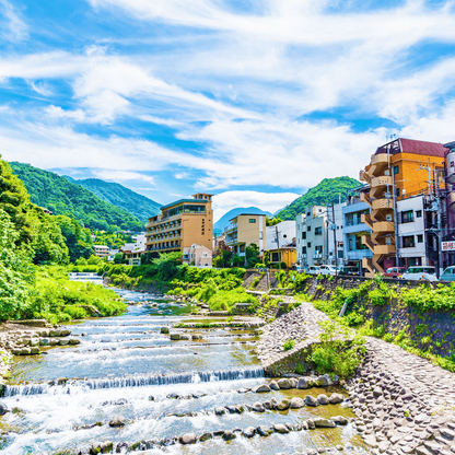 Tokyo: Mt. Fuji Cruise & Hakone Ropeway Day Trip by Bus