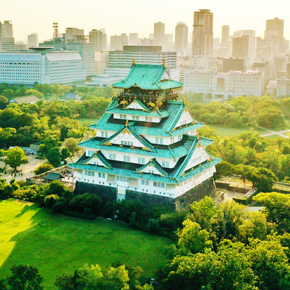 Osaka: Castle History Walking Tour / Castle Tower Admission