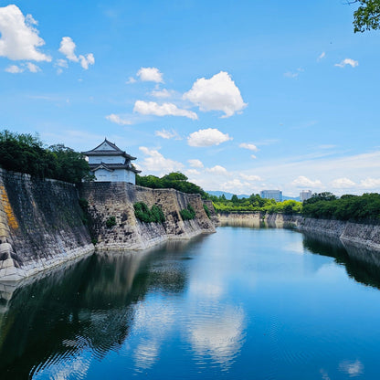 Osaka: Castle History Walking Tour / Castle Tower Admission