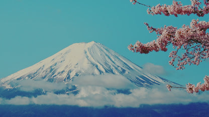 Tokyo: Mt. Fuji Cruise & Hakone Ropeway Day Trip by Bus
