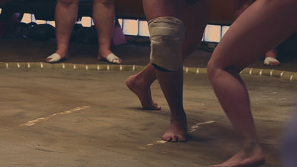 Osaka: Sumo Experience with Live Show & Audience Challenge