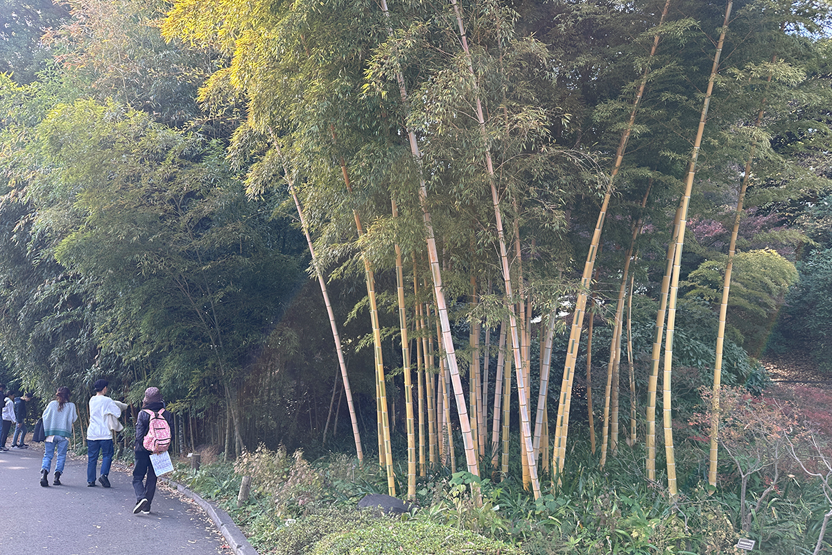 Tokyo Castle & Imperial Palace , Historical Walking Tour